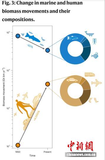 武汉世牛 生物量迁移最新研究：人类超所有陆地动物总和 野生哺乳动物锐减