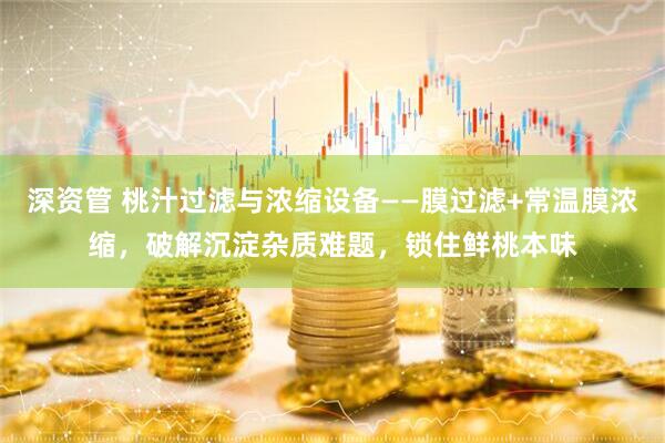 深资管 桃汁过滤与浓缩设备——膜过滤+常温膜浓缩，破解沉淀杂质难题，锁住鲜桃本味